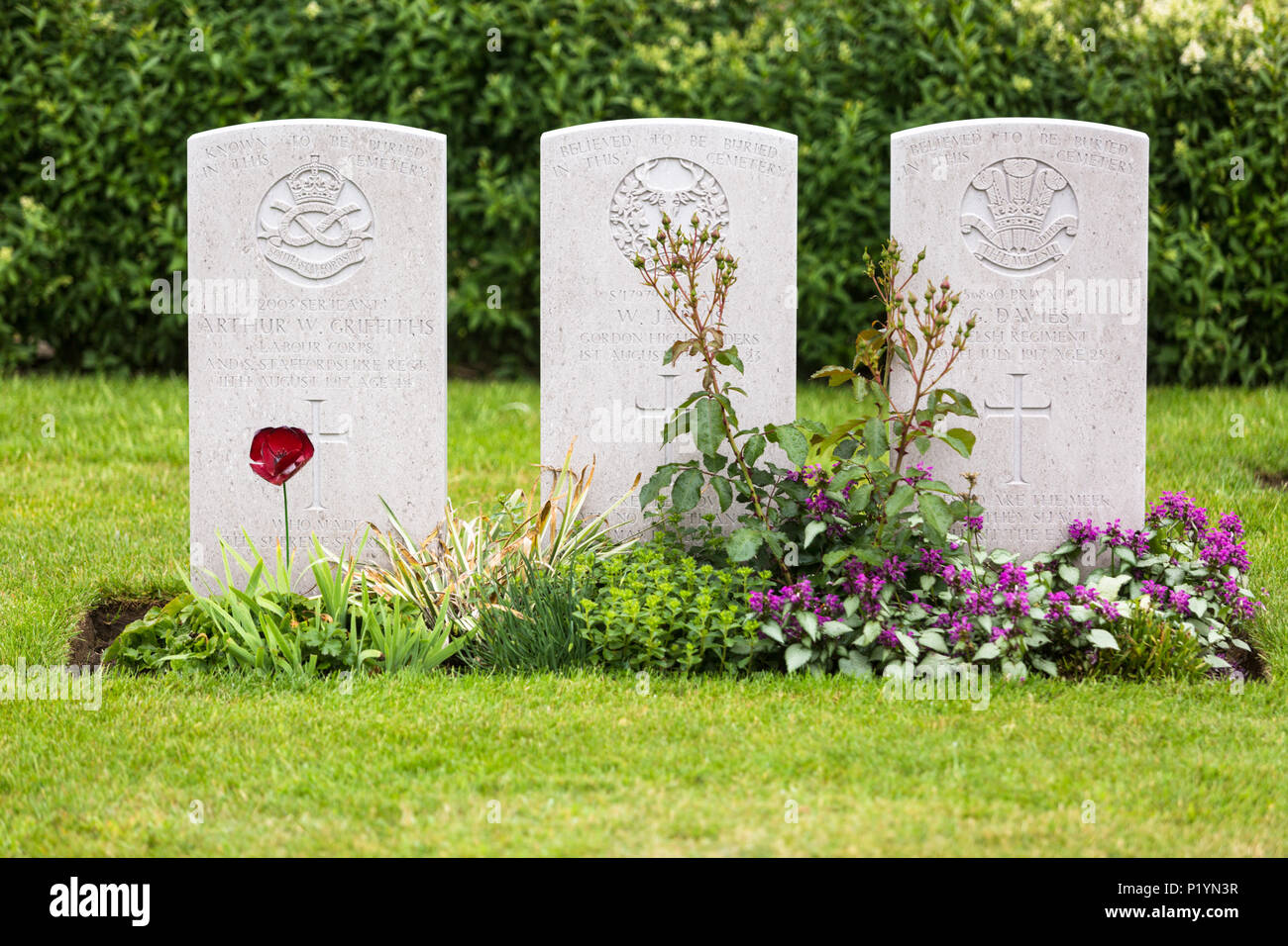 Tombes de Soldats à Bard Cottage cimetière, Ypres, Belgique Banque D'Images