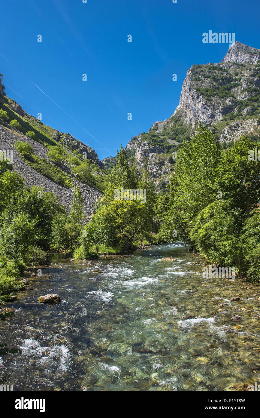 L'Espagne, parc national de los Picos de Europa, torrent de la rivière Cares Banque D'Images