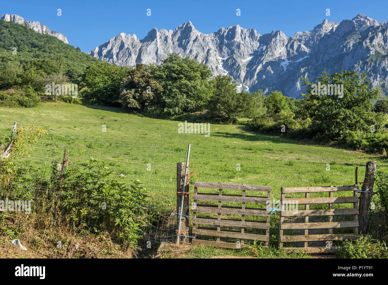 L'Espagne, parc national de los Picos de Europa à partir de Mogrovejo Banque D'Images