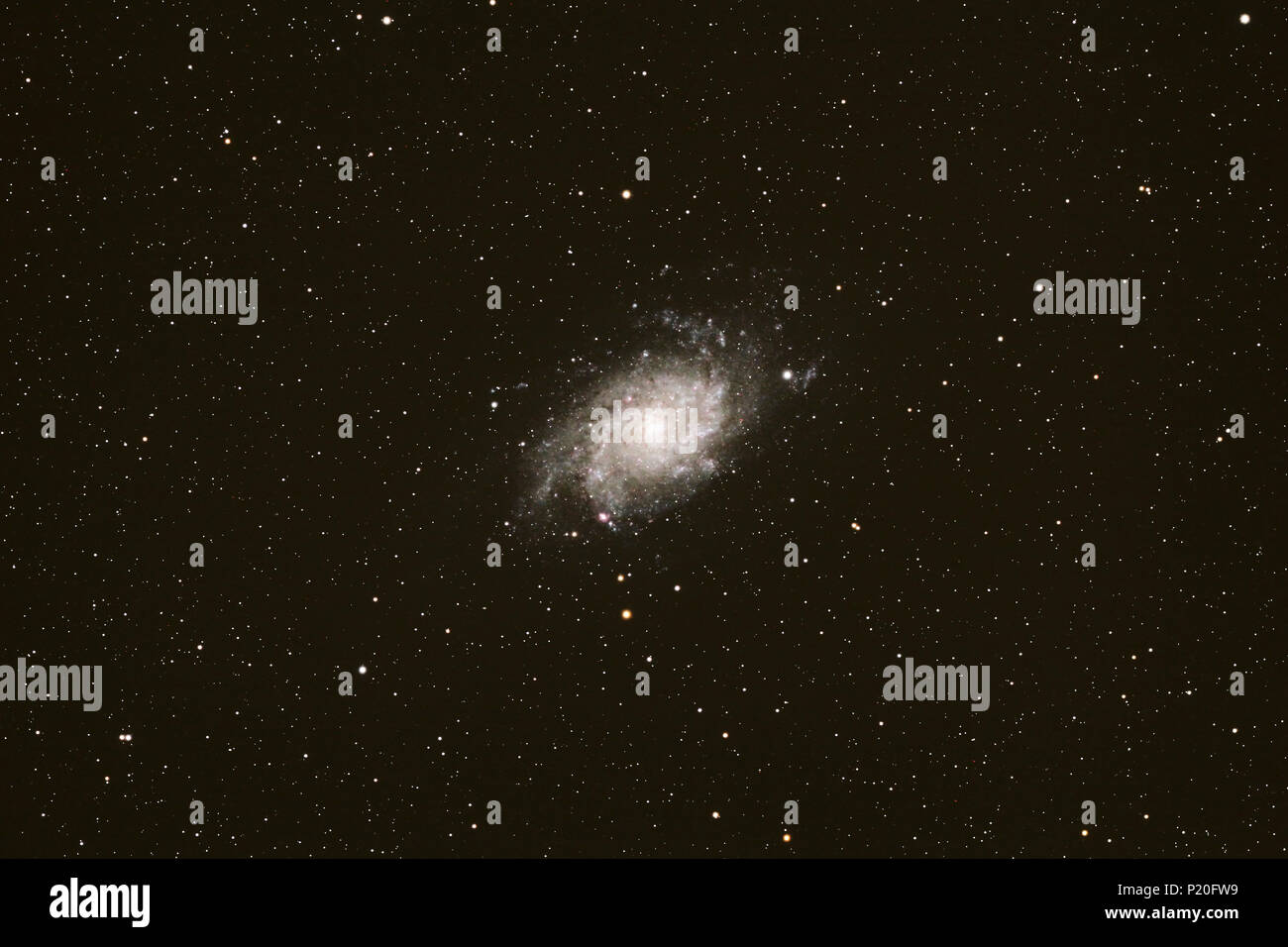 Le Massif Central. Le Cantal. Trizac du plateau. L'accent sur la Galaxie Triangulum (M33) dans la constellation Triangulum, sous un ciel préservé de la pollution lumineuse. Banque D'Images