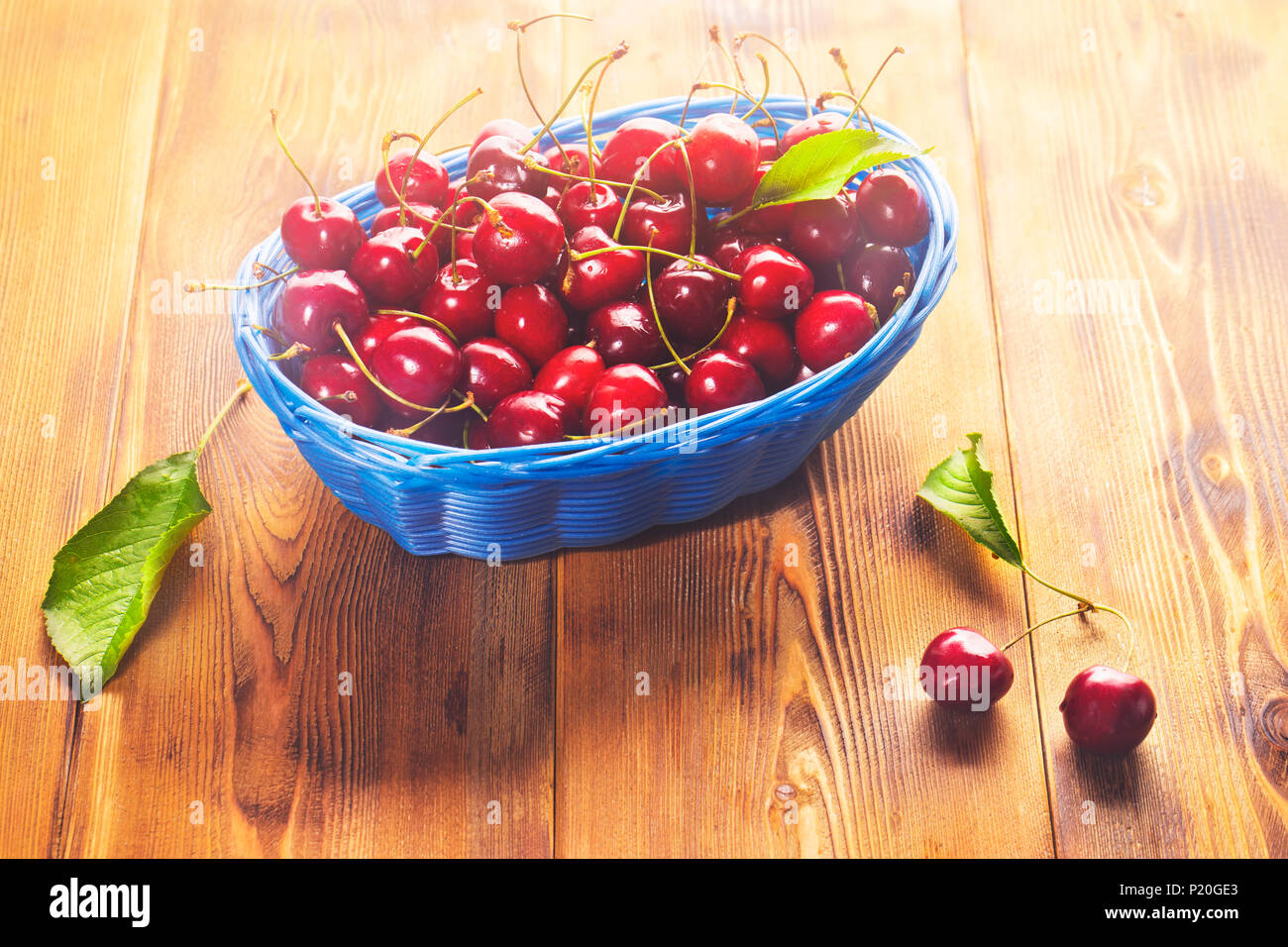 Cerises fraîches sur bleu panier. Banque D'Images