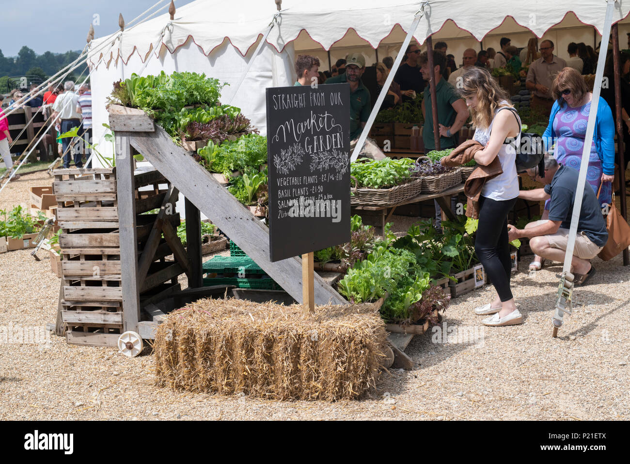 Market Garden signe à Daylesford Organic Farm festival d'été. Daylesford, Cotswolds, Gloucestershire, Angleterre Banque D'Images