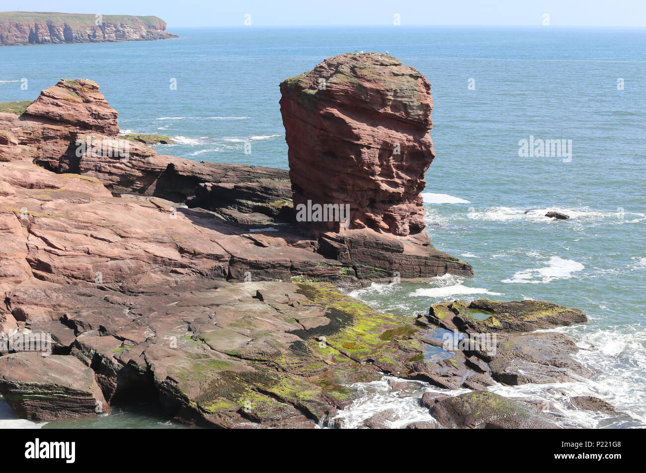 Deil's Heid pile mer Angus Scotland Juin 2018 Banque D'Images