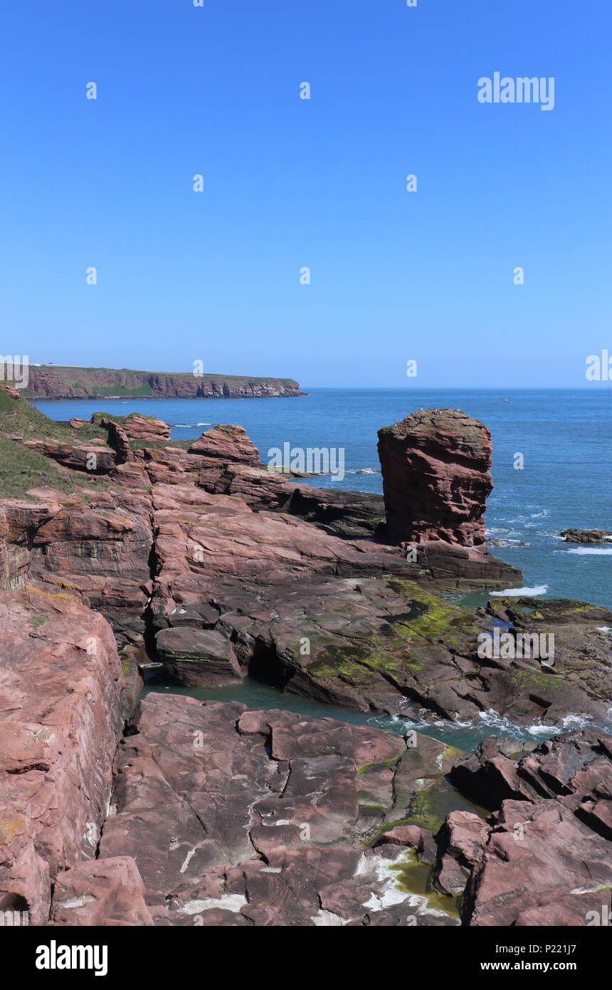 Deil's Heid pile mer Angus Scotland Juin 2018 Banque D'Images