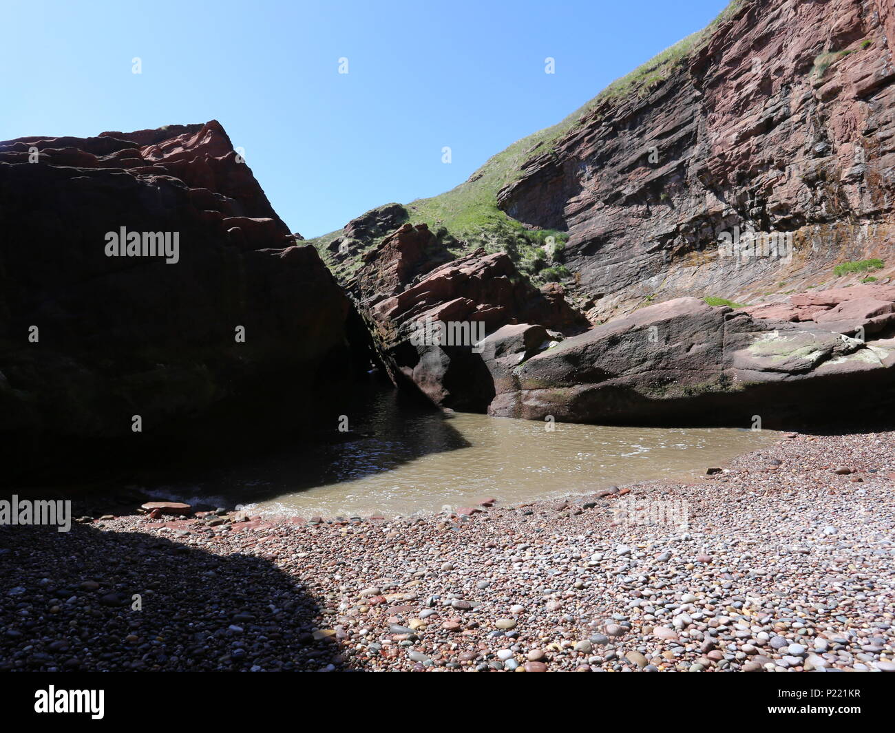 Petite plage entourée de falaises avec cliff Seaton Angus Scotland Juin 2018 Banque D'Images