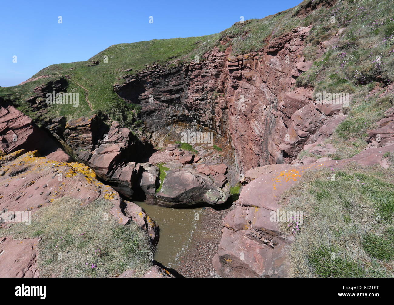 Petite plage entourée de falaises avec cliff Seaton Angus Scotland Juin 2018 Banque D'Images