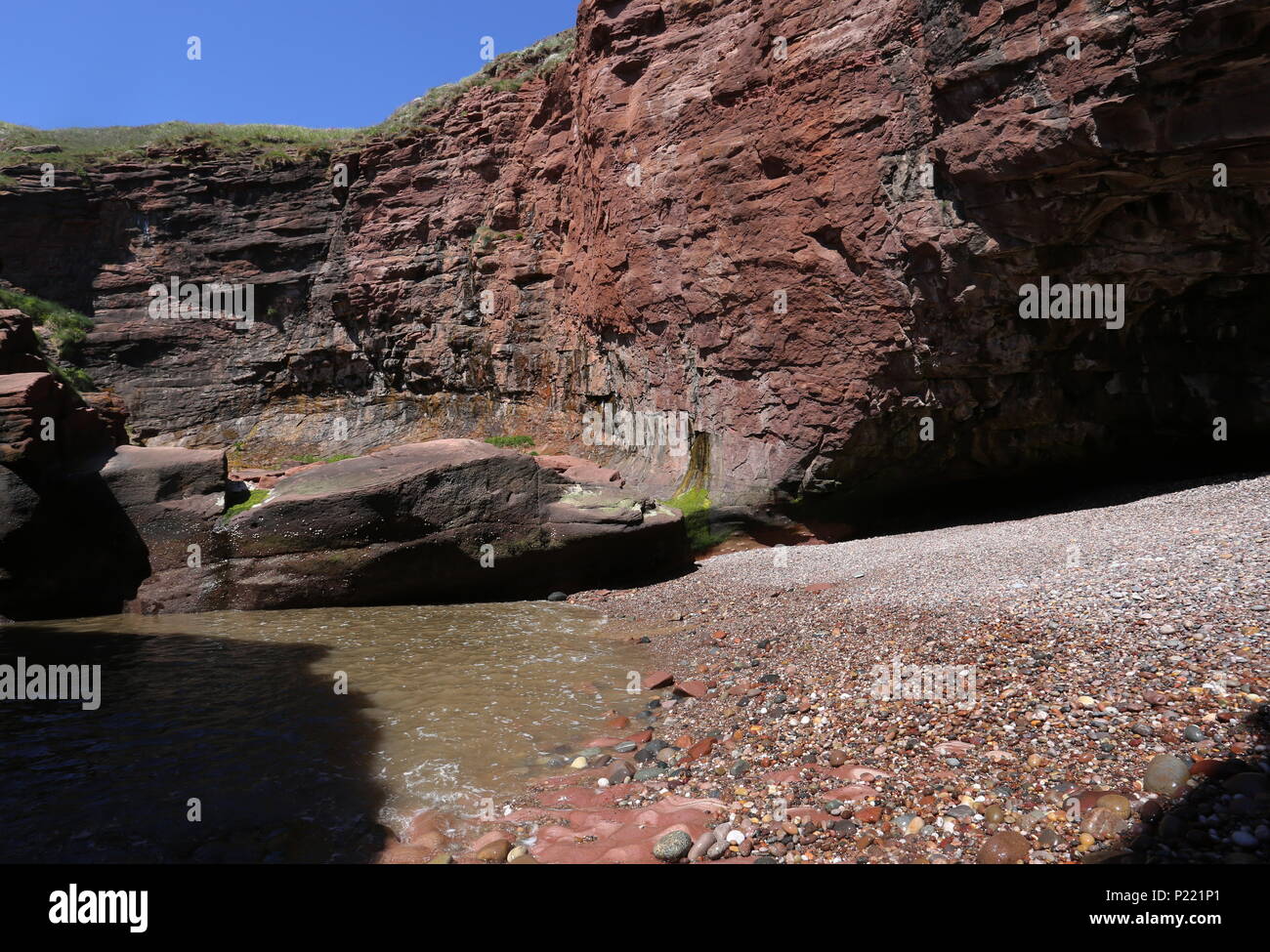 Petite plage entourée de falaises avec cliff Seaton Angus Scotland Juin 2018 Banque D'Images