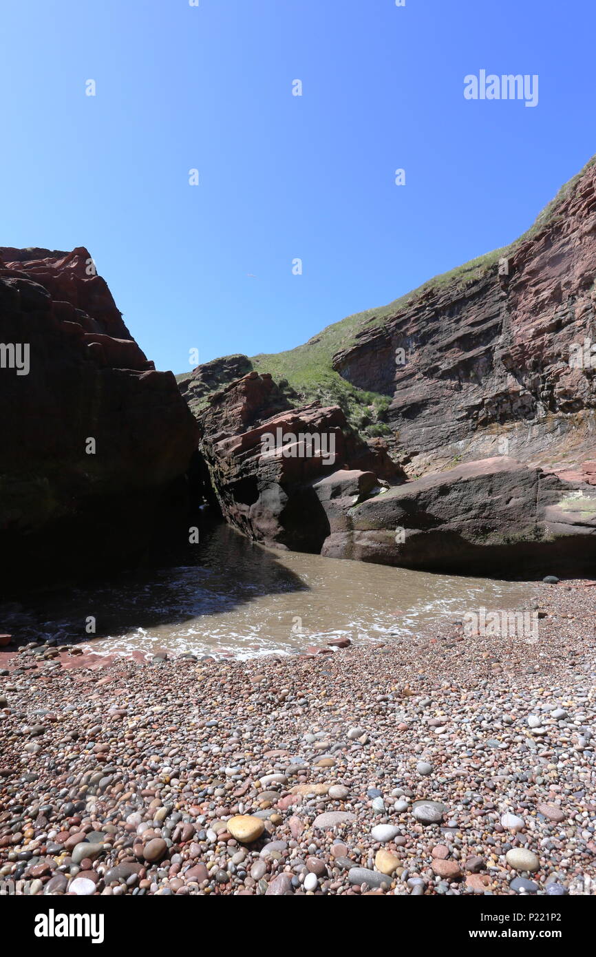 Petite plage entourée de falaises avec cliff Seaton Angus Scotland Juin 2018 Banque D'Images