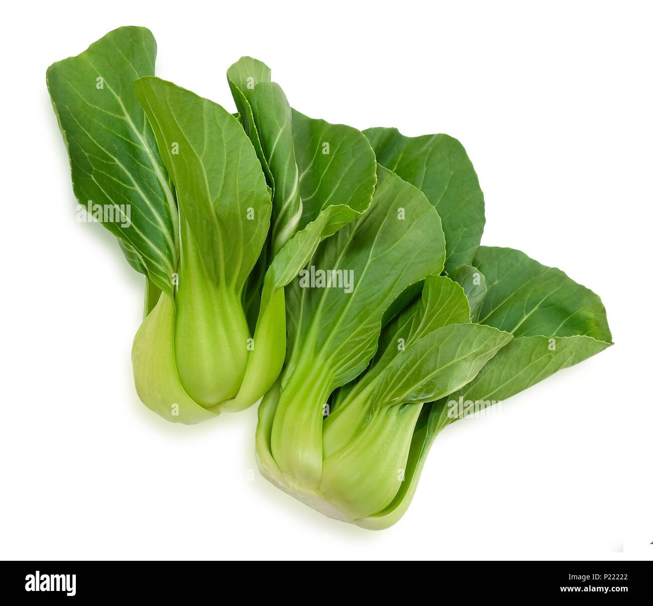 Les légumes verts frais délicieux, Bok choy, Pok Choi ou Pak choi isolé sur fond blanc. Banque D'Images