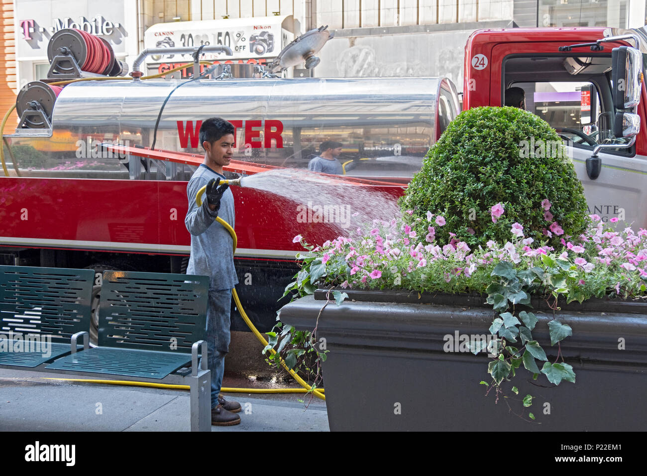 Un jeune homme fleurs eaux sur West 34th Street à côté de Macy's à Manhattan en utilisant l'eau stockée dans un camion. Banque D'Images