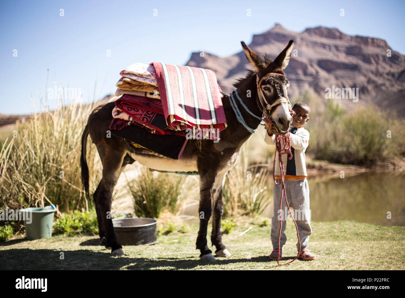 Maroc, Fès, garçon avec un âne sur la N9 Banque D'Images