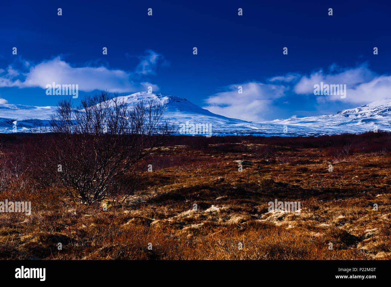 Image haute en couleur contrastée couvre le paysage désolé du célèbre parc  national d'islande Thingvellir, avril 2018 Photo Stock - Alamy