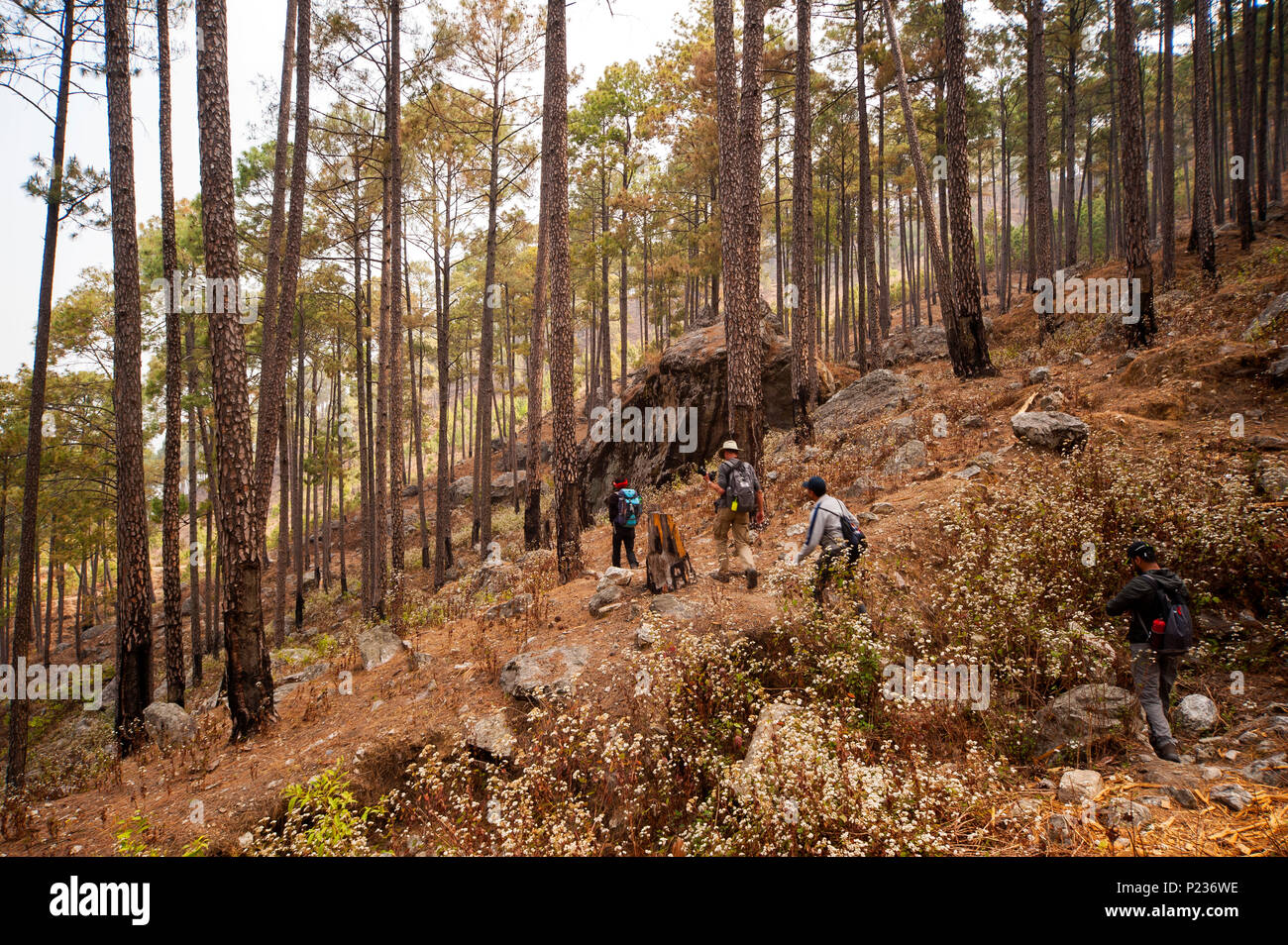 Vallée où Jim Corbett a tourné le Chowgarh maneating tigresse, Kala Agar, Uttarakhand, Inde Banque D'Images