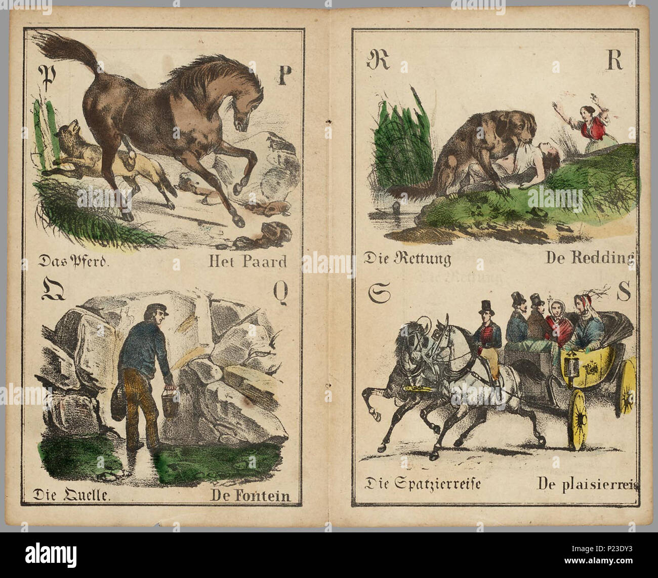 . Bilderfibel : Prenten AB Boek. Tweetalig Duits-Nederlands abc-boekje, waarbij alfabet gevolgd op het wordt base van de Duitse woorden en de Nederlandse vertaling ernaast staat. Bevat par page 2 handgekleurde litho's, van een arend, een blinde, een konijn, dromedaris, olifant, galeislaaf hoenderhof vreugde,,, jachthond, koe, luipaard, slager, nègre, ossenmarkt, paard, fontein, Redding, un plezierrit in een koets, dans aangeklede (muzikant rencontré aapjes), deugniet, verering (van een olifant), wandelaar (en bière), 'Ypsilanti', en banketbakster. Op de voorkant ongekleurde gedecoreerde een sier Banque D'Images