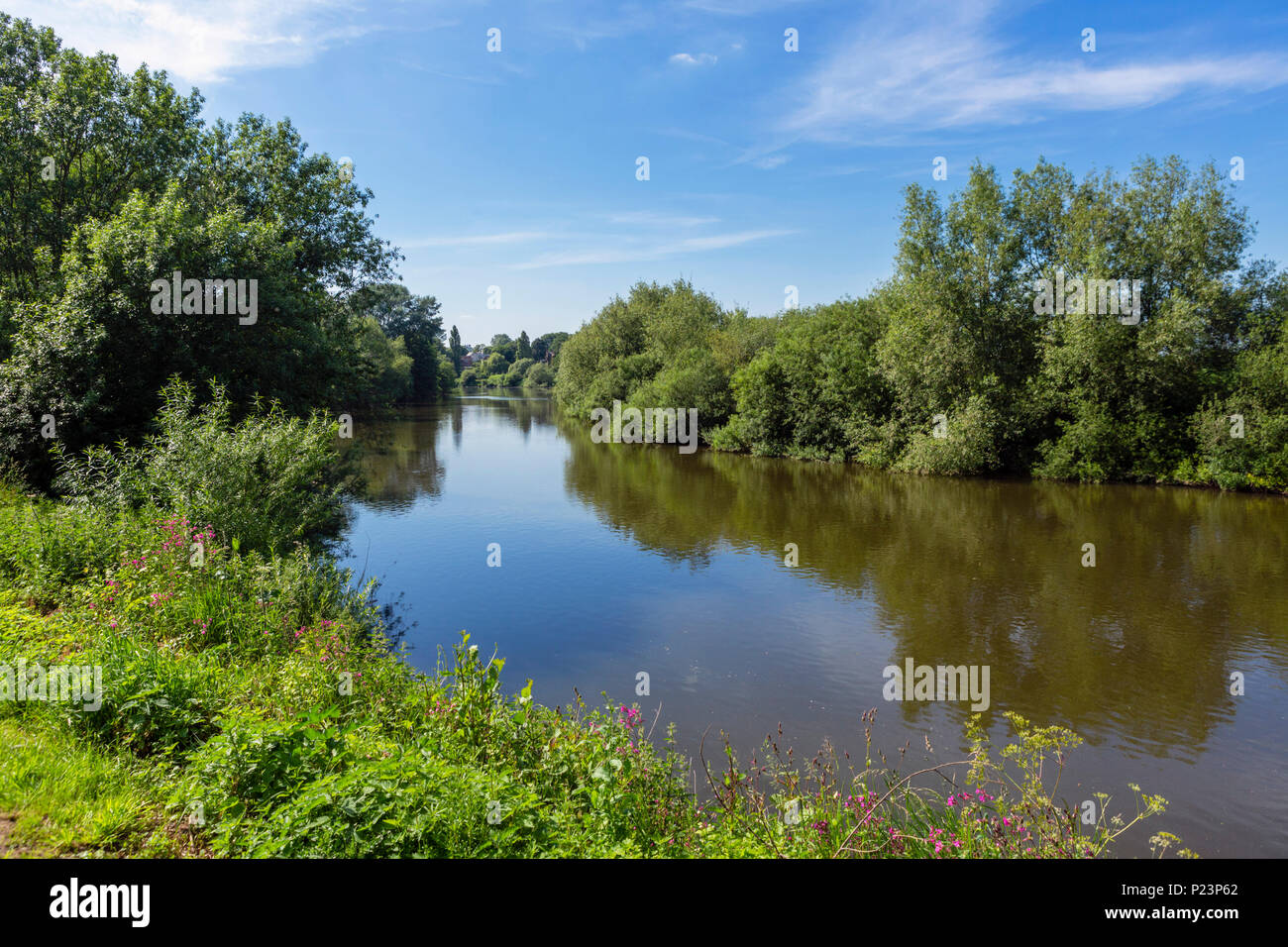 Vue sur la rivière Wye depuis le fleuve à pied, Ross-on-Wye, Herefordshire, Angleterre, RU Banque D'Images