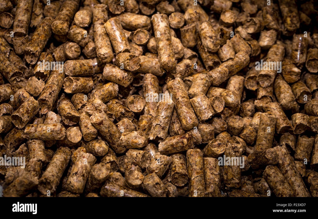 Bûches de bois pour les chaudières à combustible solide, gros plan Banque D'Images