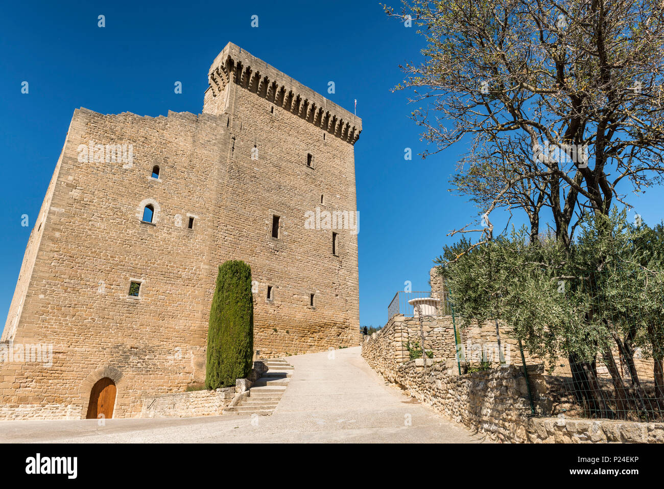 Châteauneuf-du-Pape, Provence-Alpes-Côte d'Azur, vue de Châteauneuf-du-Pape château dans la vallée du Rhône. Banque D'Images