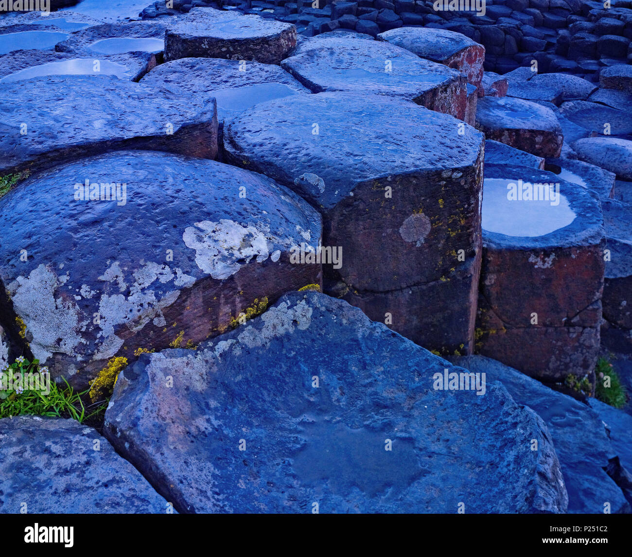 L'Irlande du Nord, d'Antrim, côte de Causeway, roc de basalte de la Chaussée des Géants dans l'humeur du soir, heure bleue, héritier de la nature mondiale de l'UNESCO, Banque D'Images