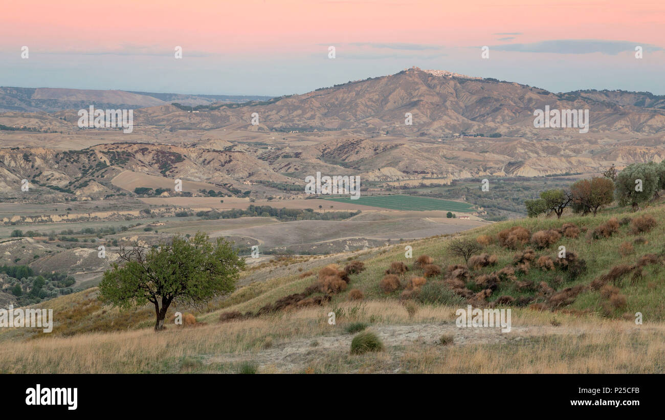 Un olivier à Pisticci en arrière-plan et son paysage typique, Bernalda Vecchia au coucher du soleil, Matera, Basilicate, Italie, Europe Banque D'Images