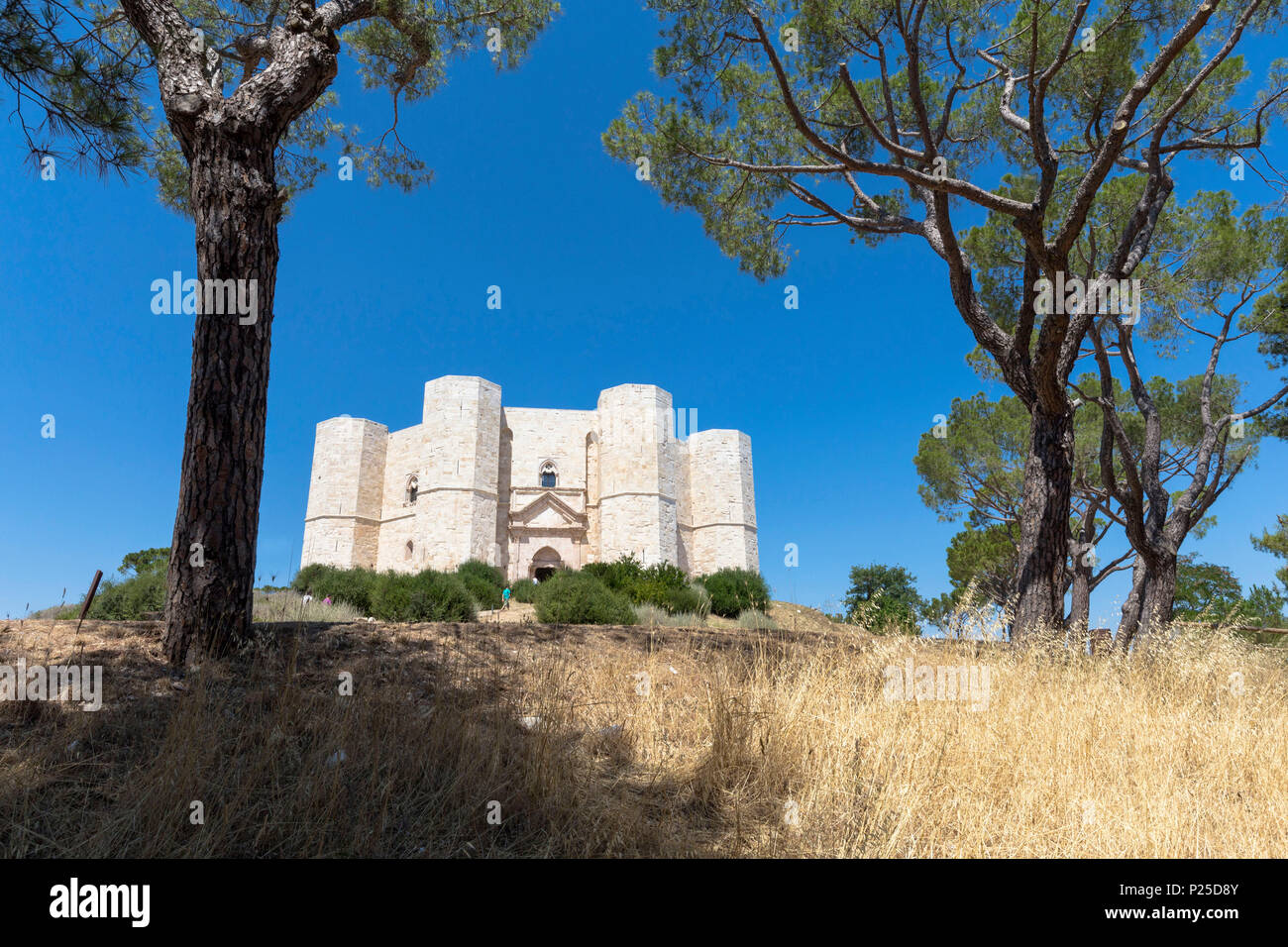 Castel del Monte, Barletta, Andria Trani, Italie, Pouilles, district Banque D'Images