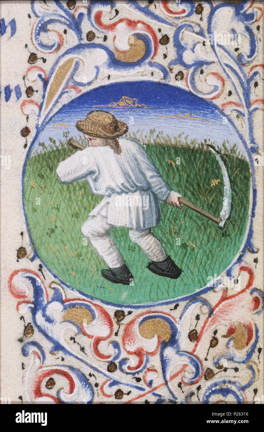 . Juin - un homme le foin - miniature du folio 093rfrom le livre d'heures de Simon de varie - KB 74 G37a . Juin - un homme le foin - miniature du folio 093r du livre d'heures de Simon de varie - KB 74 G37a sujets représentés dans cette miniature de juin et son 'travail' (23K23), la récolte, la préparation, la tonte  la récolte (47I141) produits et sous-produits agricoles : hay (47J17(FOIN)) Cette miniature fait partie de folio 093r . Juin 1455 159 - un homme le foin - Livre d'heures de Simon de varie - KB 74 G37a - 093r det randv 1 Banque D'Images