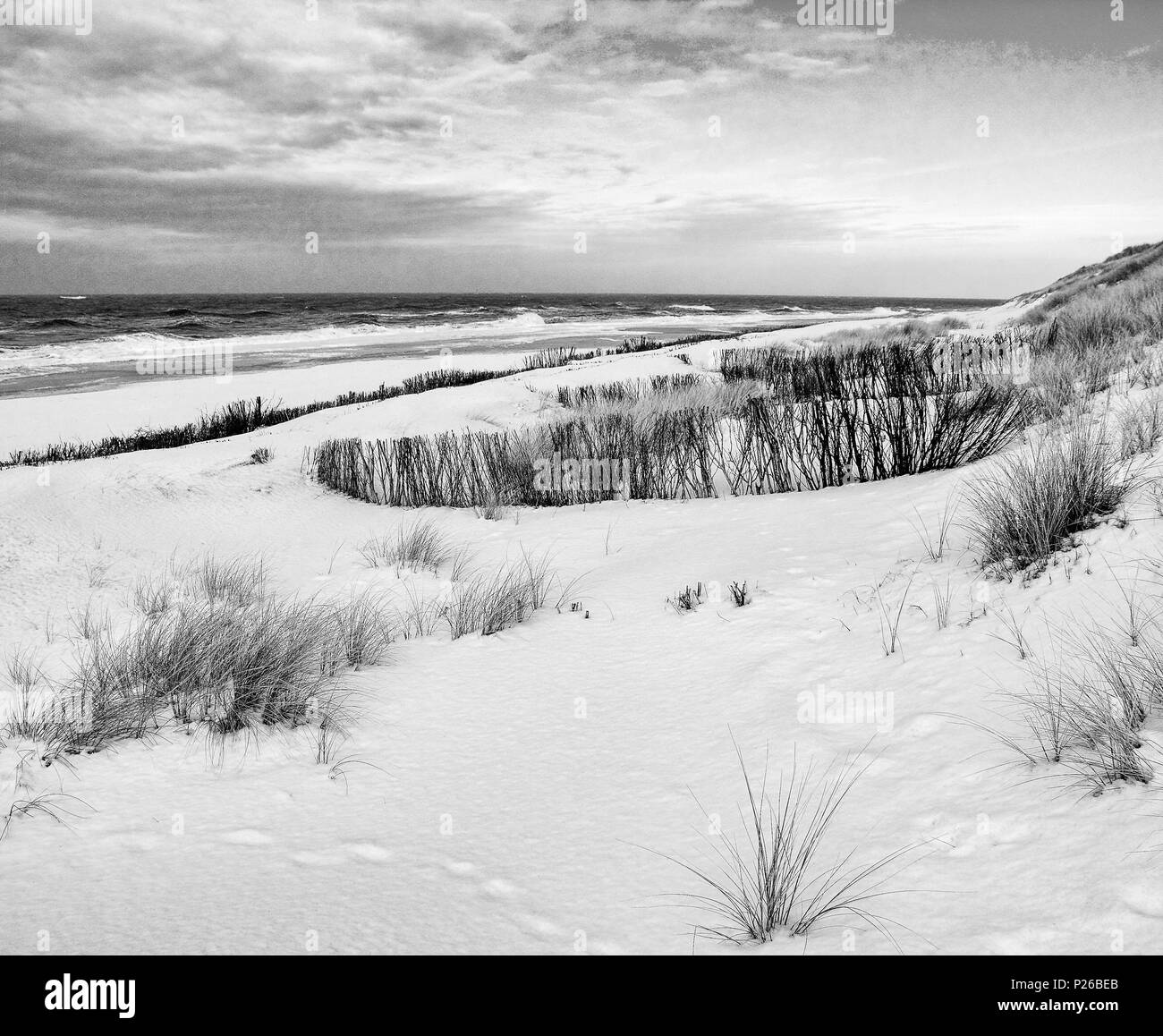 La mer du Nord, île, Sylt, scène d'hiver Banque D'Images