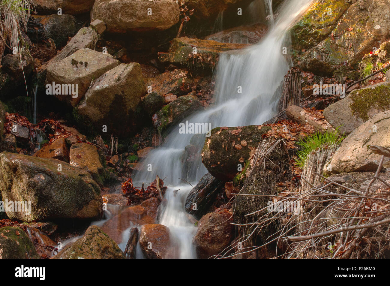 Belles chutes d'eau de montagne avec une longue exposition à la lumière du soleil du printemps d'or. Ilsefälle de la rivière de montagne Ilse dans la Ilsetal à Ilsenburg, Parc National Harz (Saxe-Anhalt en Allemagne Banque D'Images