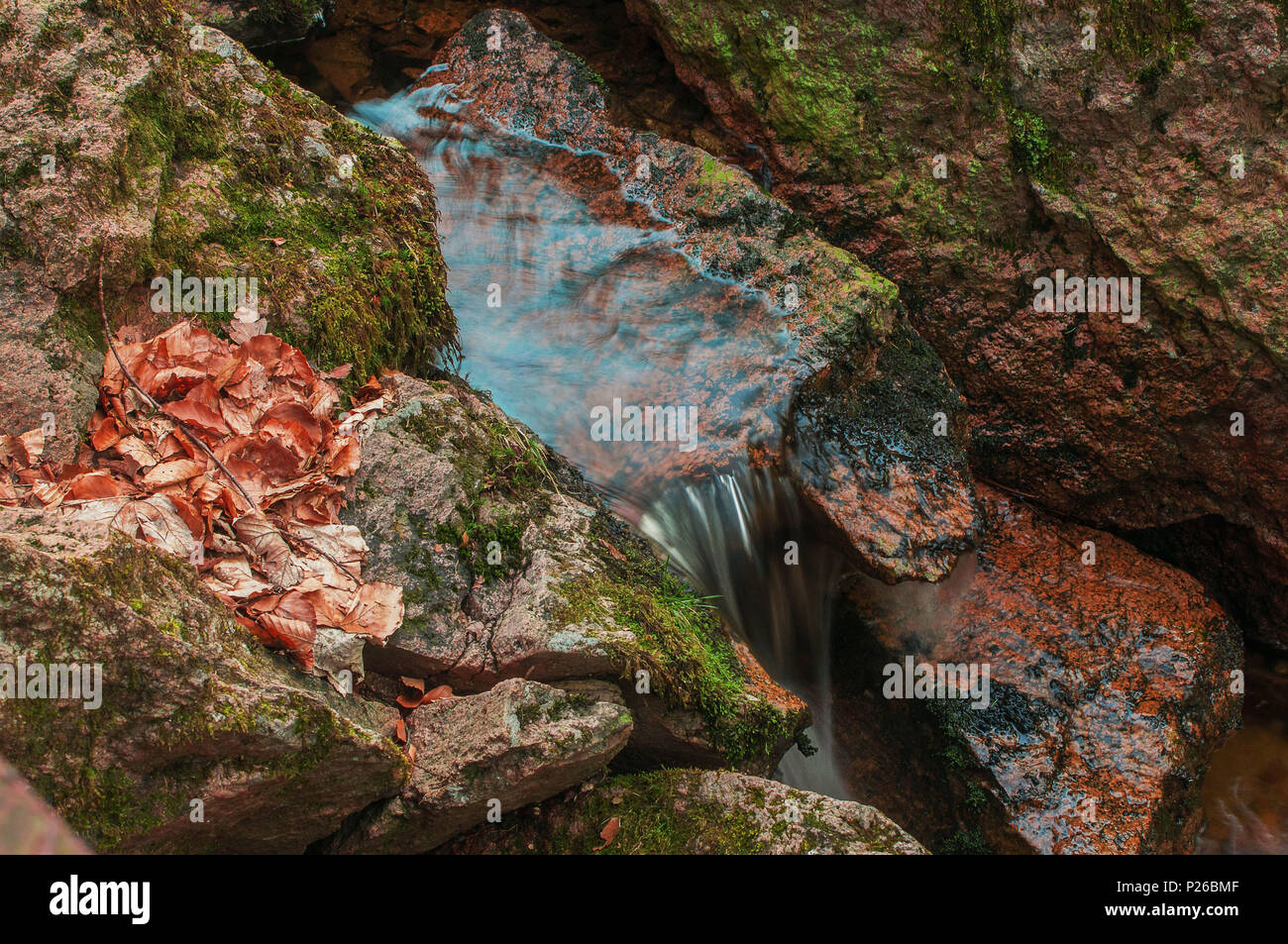 Belles chutes d'eau de montagne avec une longue exposition à la lumière du soleil du printemps d'or. Ilsefälle de la rivière de montagne Ilse dans la Ilsetal à Ilsenburg, Parc National Harz (Saxe-Anhalt en Allemagne Banque D'Images