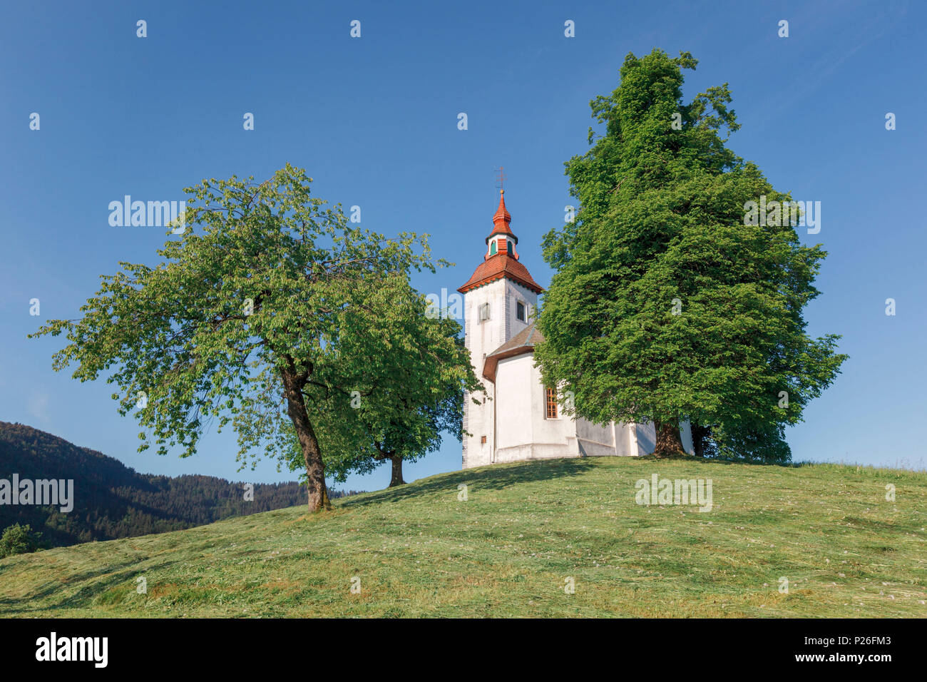 L'Europe, la Slovénie, la municipalité de Skofja Loka, l'église de Saint Thomas (Sveti Tomaz) sur une colline dans la campagne slovène Banque D'Images