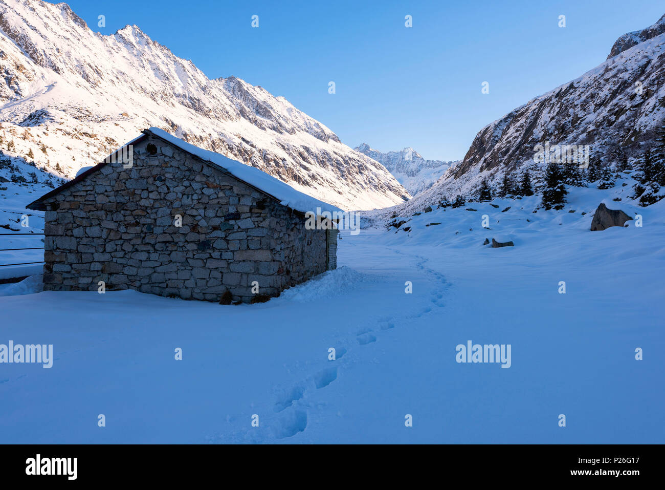 La saison d'hiver au parc de l'Adamello, Vallée Adamè, province de Brescia, Lombardie, Italie. Banque D'Images
