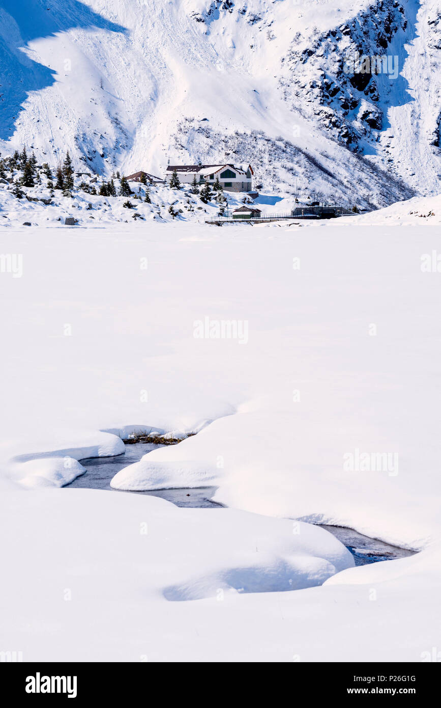 La saison d'hiver au parc de l'Adamello, Vallée Adamè, province de Brescia, Lombardie, Italie. Banque D'Images