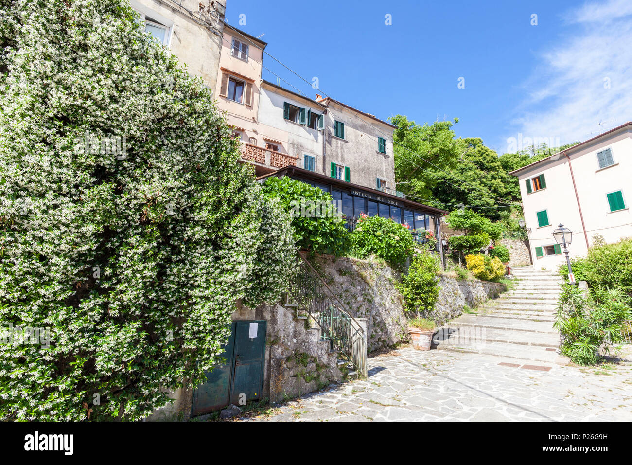 Ruelle de la vieille ville, Marciana, l'île d'Elbe, province de Livourne, Toscane, Italie Banque D'Images