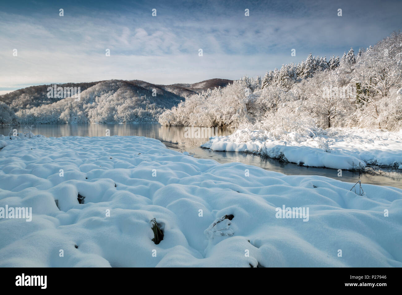 Les forêts de la rivière et le parc national des Lacs de Plitvice en hiver, Plitvicka Jezera, et Lika Senj County, Croatie Banque D'Images