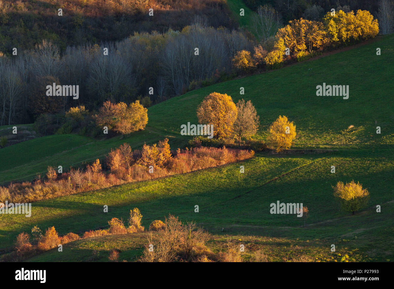 Castell'Arquato hills, province de Piacenza, Emilia Romagna, Italie, Europe. Une vue sur les collines à l'automne au coucher du soleil. Banque D'Images