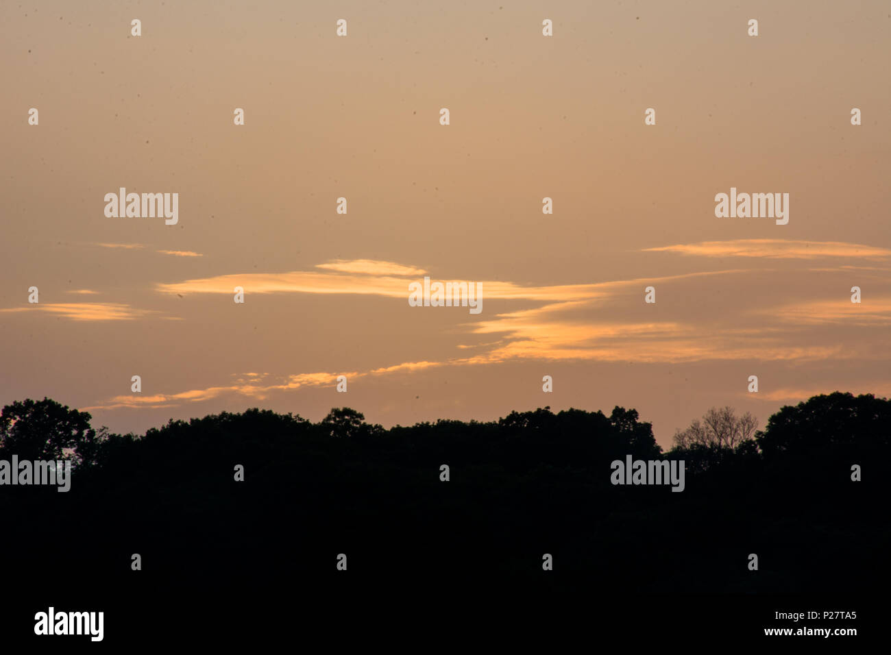 Coucher du soleil sur le toit d'Inwood Hill Park surplombant dans NYC Banque D'Images