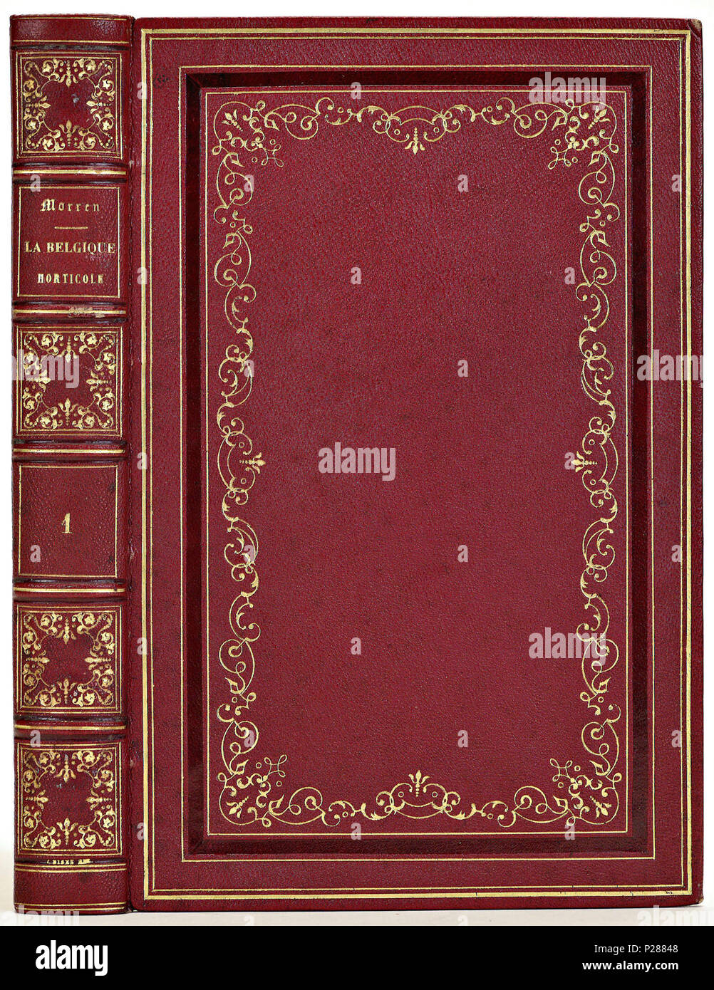 . Band van Rood segrijn . Nederlands : Inhoud : Charles Morren. La Belgique horticole. La Haye, 1851-1852. 2 vol. . 1852 ? 29 van Rood-segrijn Bande KONB12-111K24-25 Banque D'Images