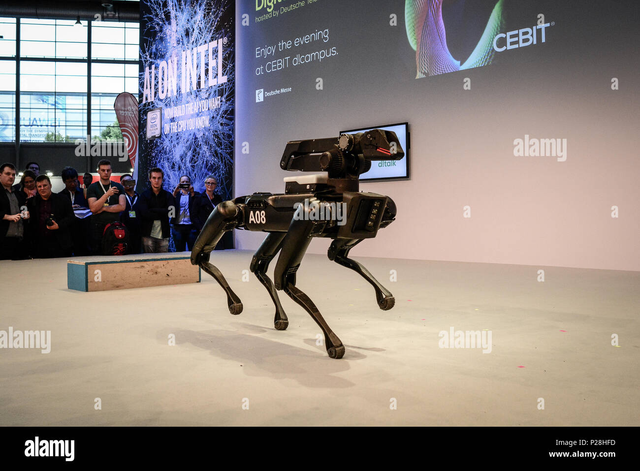 Hanovre, Allemagne. 13 Juin, 2018. Marc Reibert, fondateur de Boston  Dynamics, présente le robot SpotMini au CeBIT 2018 à Hanovre. SpotMini est  un petit robot à quatre pattes avec la capacité de