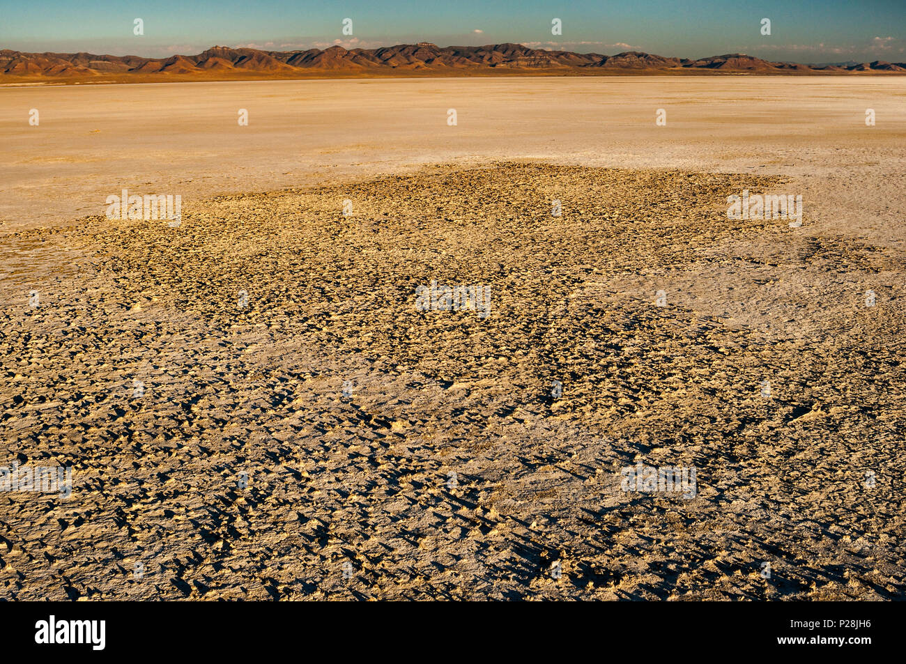 Gisement de sel à Sevier Lake, lac asséché, dans le désert du Grand Bassin, Utah, USA Banque D'Images