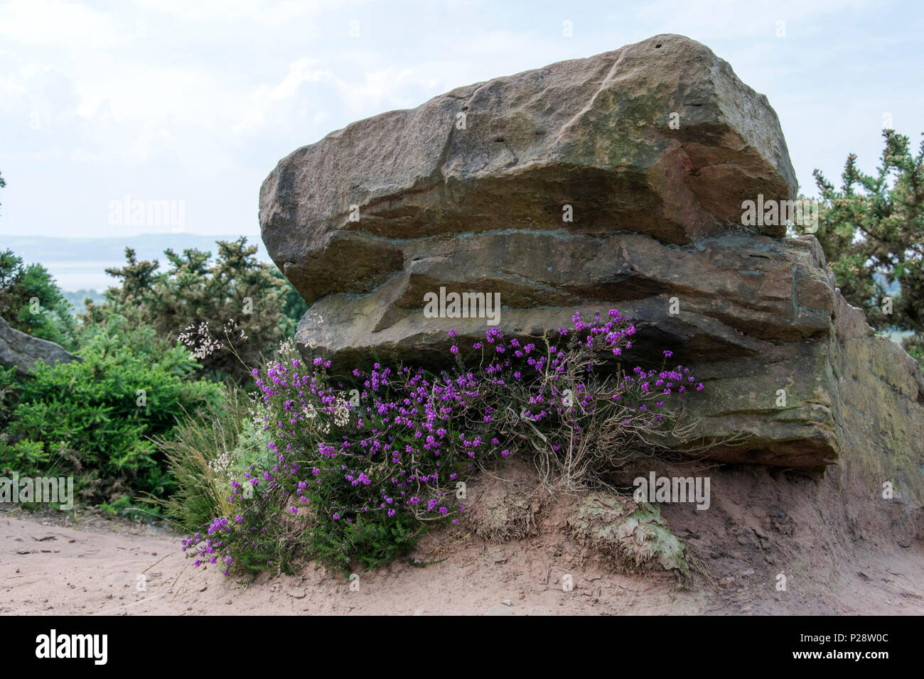 Red Rock Country Park Wirral UK Banque D'Images