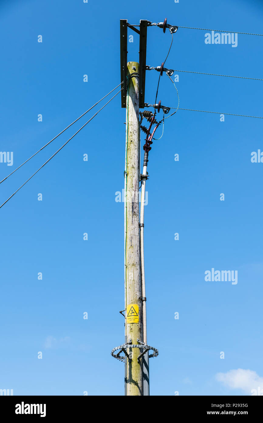 Pôle de l'électricité dans la ceinture verte. Banque D'Images
