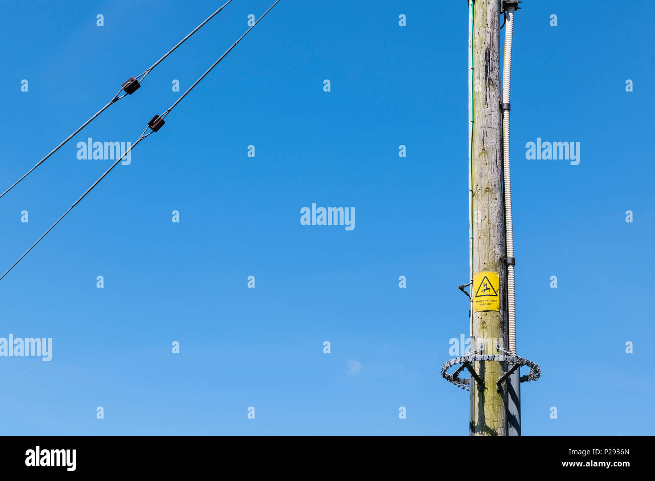 Pôle de l'électricité dans la ceinture verte. Banque D'Images