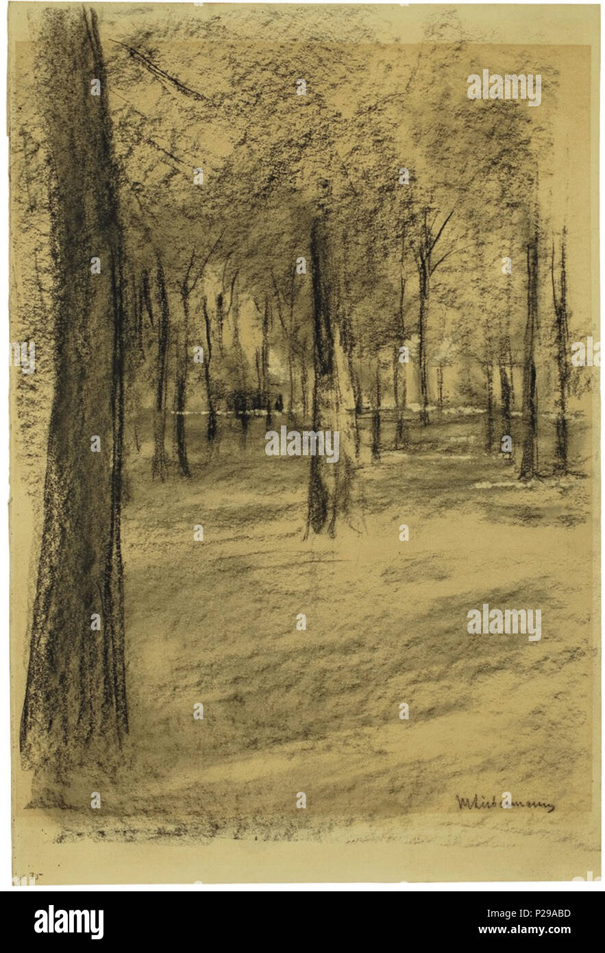 . Anglais : Arbres . vers 1895. Max Liebermann (1847-1935), peintre allemand Description graveur, lithographe et dessinateur Date de naissance/décès 20 Juillet 1847 8 février 1935 Lieu de naissance/décès Berlin Berlin lieu de travail Berlin (1863-1868, 1884-1935), Weimar (1868-1873), Düsseldorf (1871), Pays-Bas (1871), Paris (1872, 1873-1879, 1882, 1896), Amsterdam (1872, 1876, 1879, 1880, 1881, 1882, 1883, 1884, 1905, 1906, 1907, 1908) Barbizon (1874-1875), Dordrecht (1877), Italie (1879, 1893), Munich (1879-1884), Scheveningen (1881), Dongen (1881), Thiviers (1882), Haarlem (1884, 1886, Banque D'Images