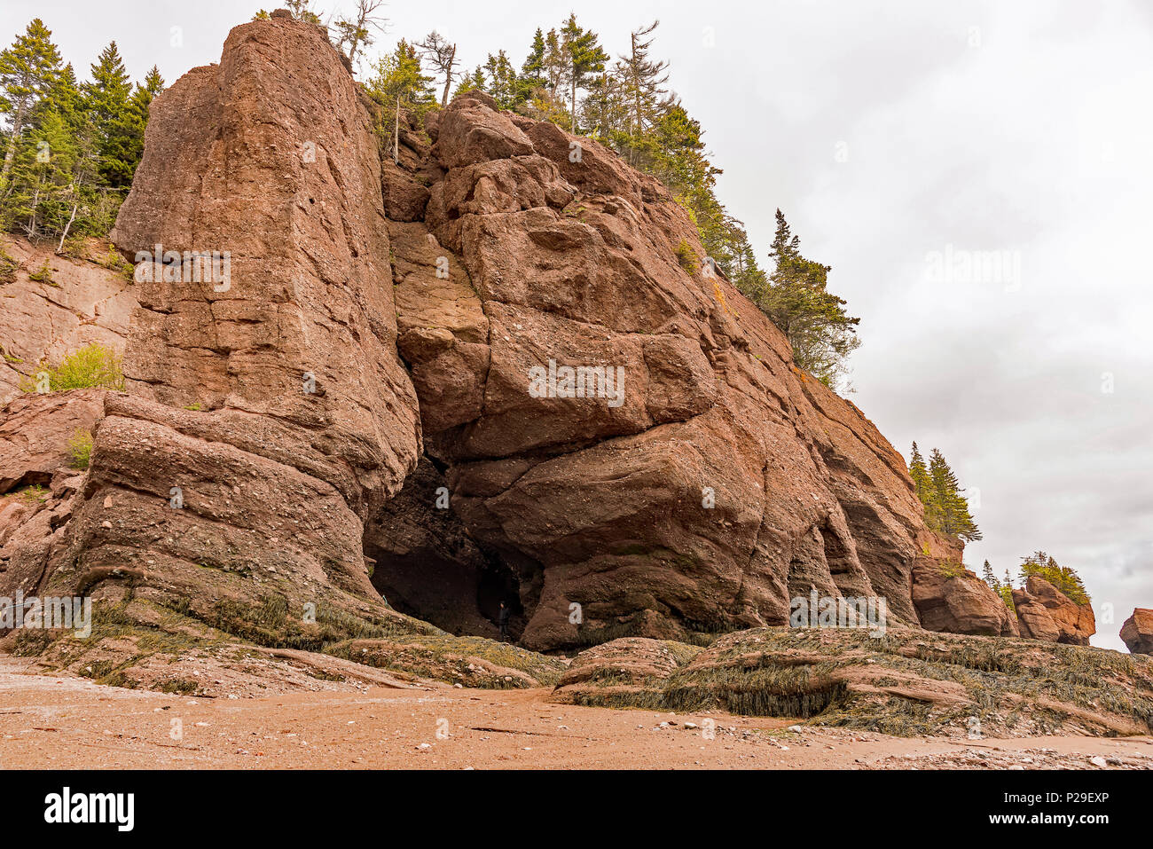 Parc des rochers Hopewell Rocks, Hopewell Cape, NB, Canada Banque D'Images