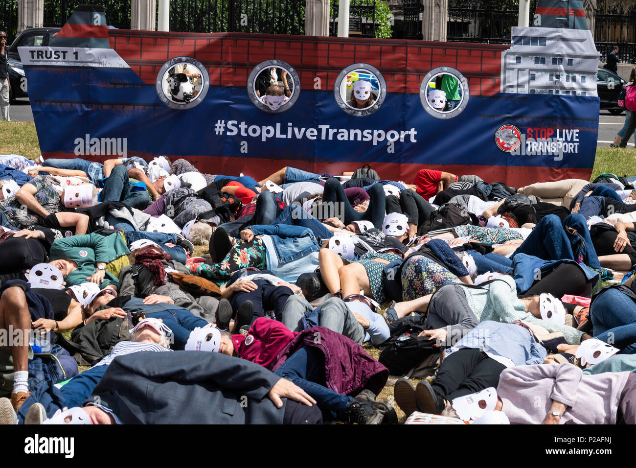 Londres 14 juin 2018, fin du transport d'animaux vivants protester sur la place du Parlement, Londres d'une matrice qui par des militants, Ian Davidson Crédit/Alamy Live News Banque D'Images