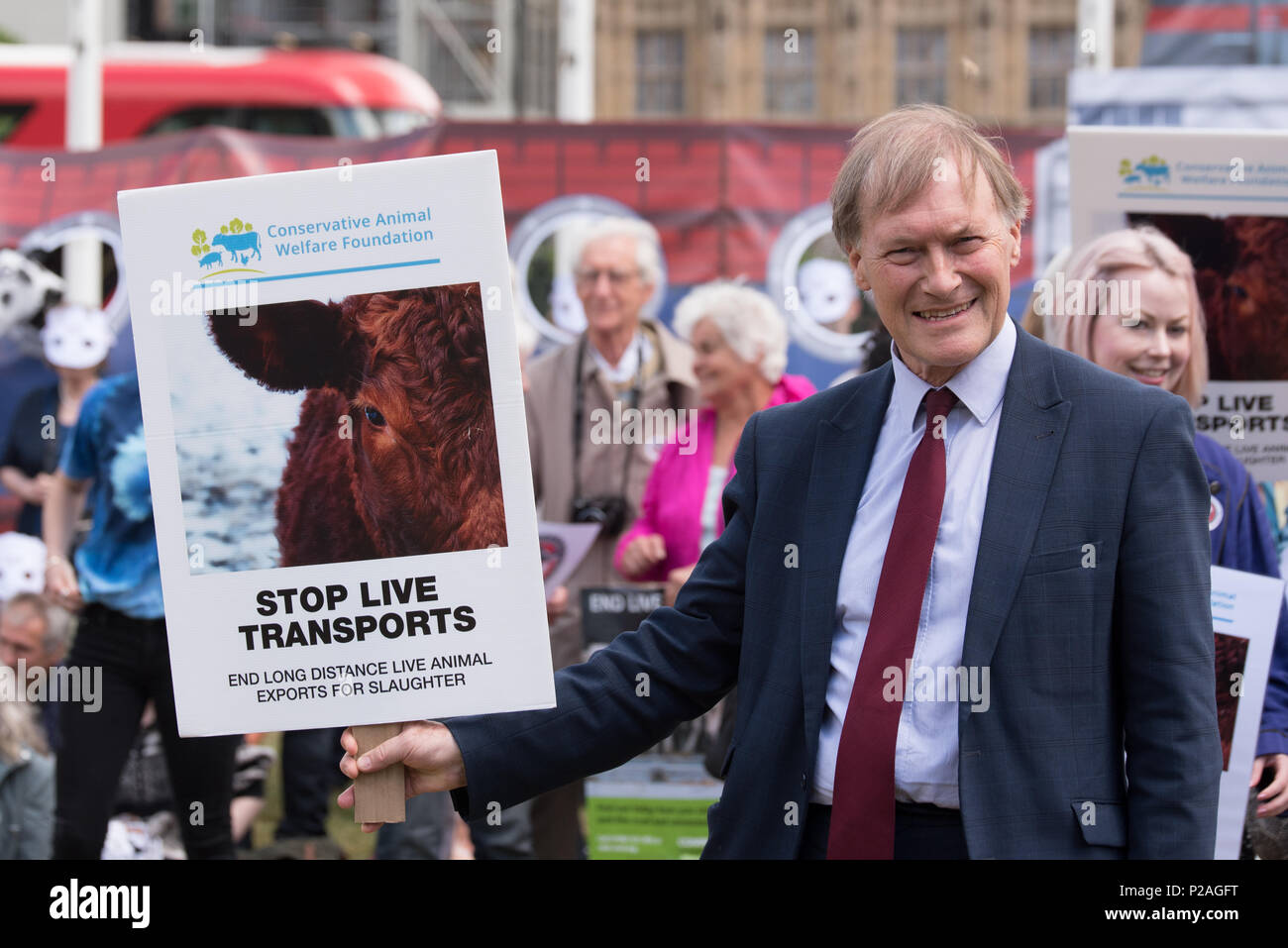 Londres, Royaume-Uni. 14 juin 2018. Le président David Amess MP rassemblement pour stopper les transports en Direct 2018 souffrances inutiles à la place du Parlement le 14 juin 2018, Londres, Royaume-Uni. Credit : Voir Li/Alamy Live News Banque D'Images