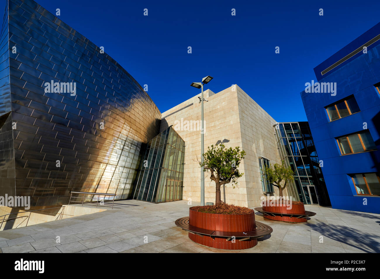 Détail de Musée Guggenheim, Bilbao, Biscaye, Pays basque, Euskadi, Euskal Herria, Espagne, Europe Banque D'Images