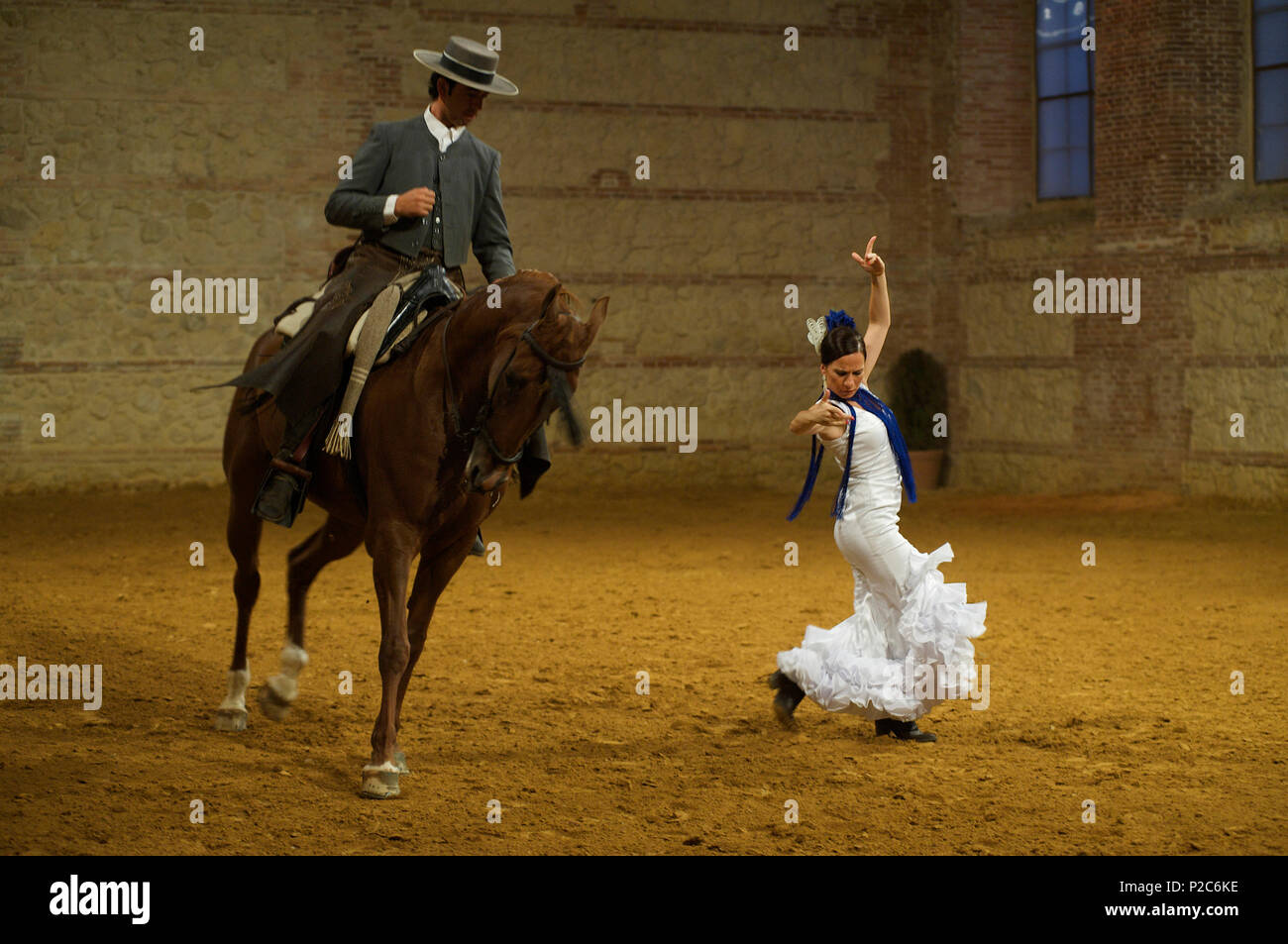 Spectacle de Flamenco avec danseuse et cheval à Cordoba Tourisme dans la Calle Caballerizas Reales à Cordoue, Andalousie, Espagne Banque D'Images