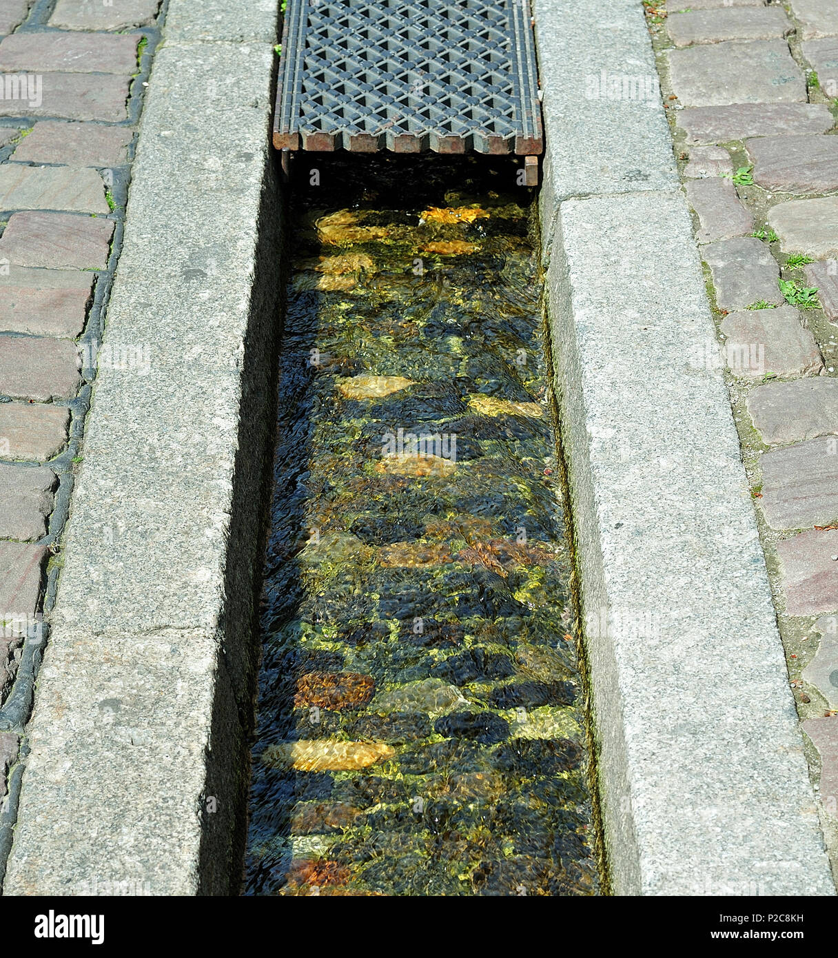 Bächle, rempli d'eau runnel dans la vieille ville de Freiburg, forêt noire, Allemagne, en partie couverte par une plaque de fer Banque D'Images