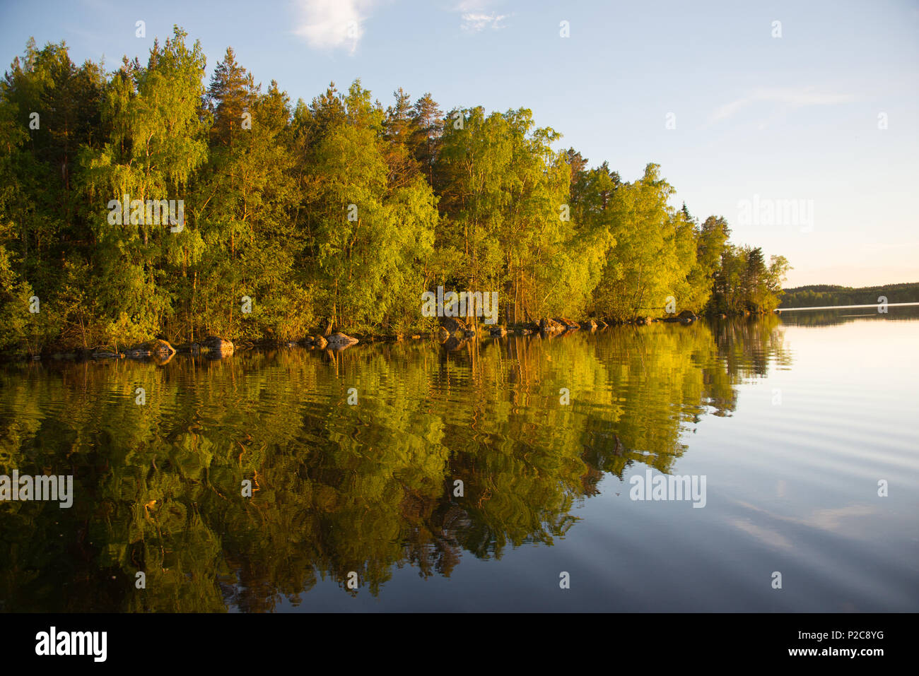 Reflet d'or. Lake Kukkia, Luopioinen, Finlande.järvimaisema Banque D'Images