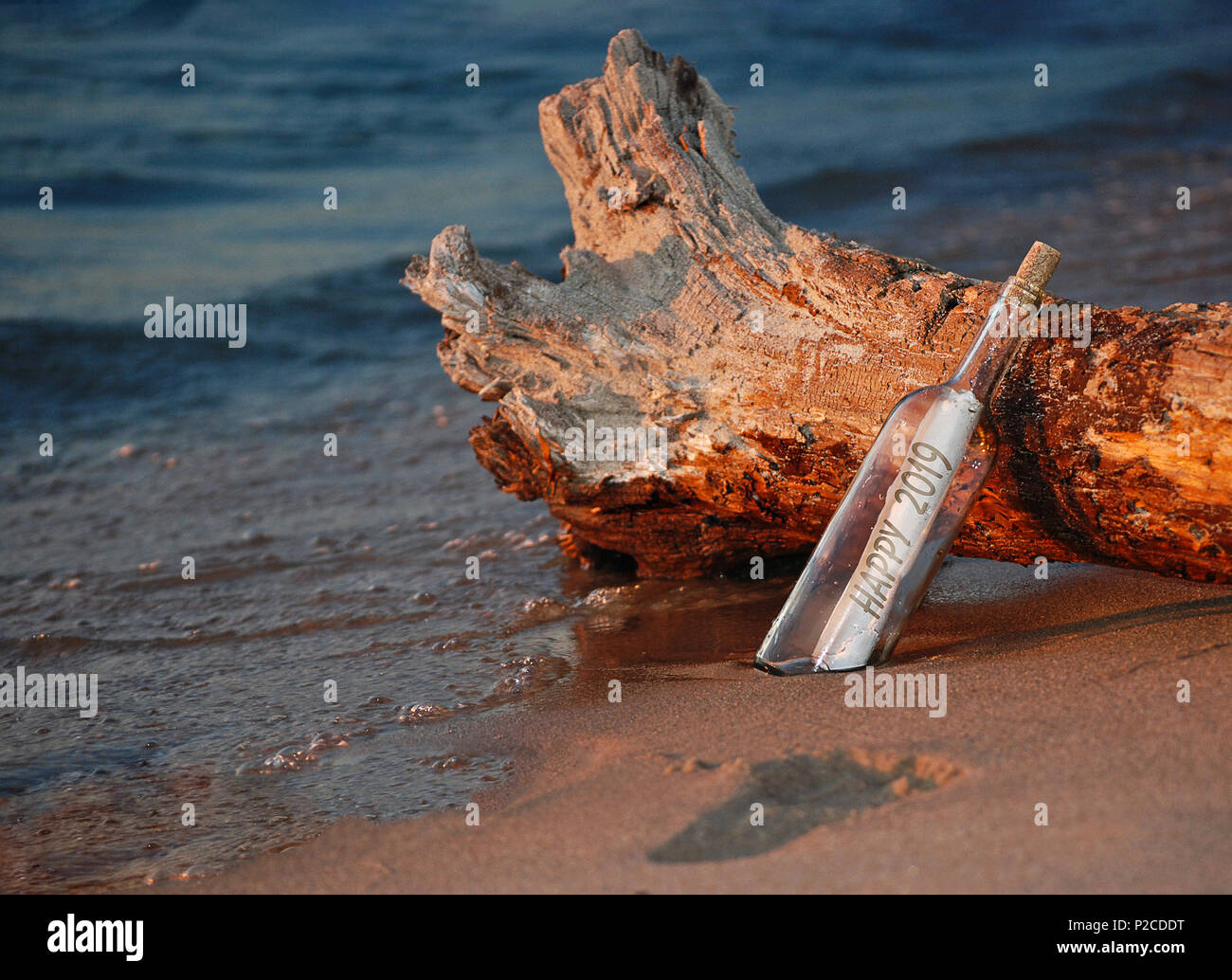 Nouvelle année 2019 message dans une bouteille avec driftwood log on beach Banque D'Images
